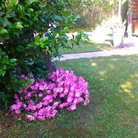 Le Clos Des Palombes Wifi Climatisation Saint-Pierre-du-Mont  Bagian luar foto