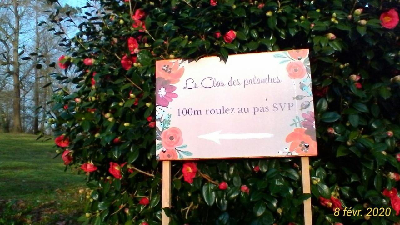 Le Clos Des Palombes Wifi Climatisation Saint-Pierre-du-Mont  Bagian luar foto