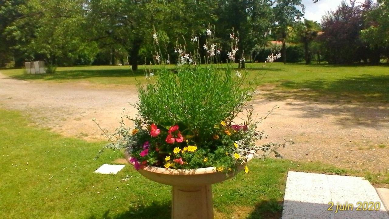Le Clos Des Palombes Wifi Climatisation Saint-Pierre-du-Mont  Bagian luar foto