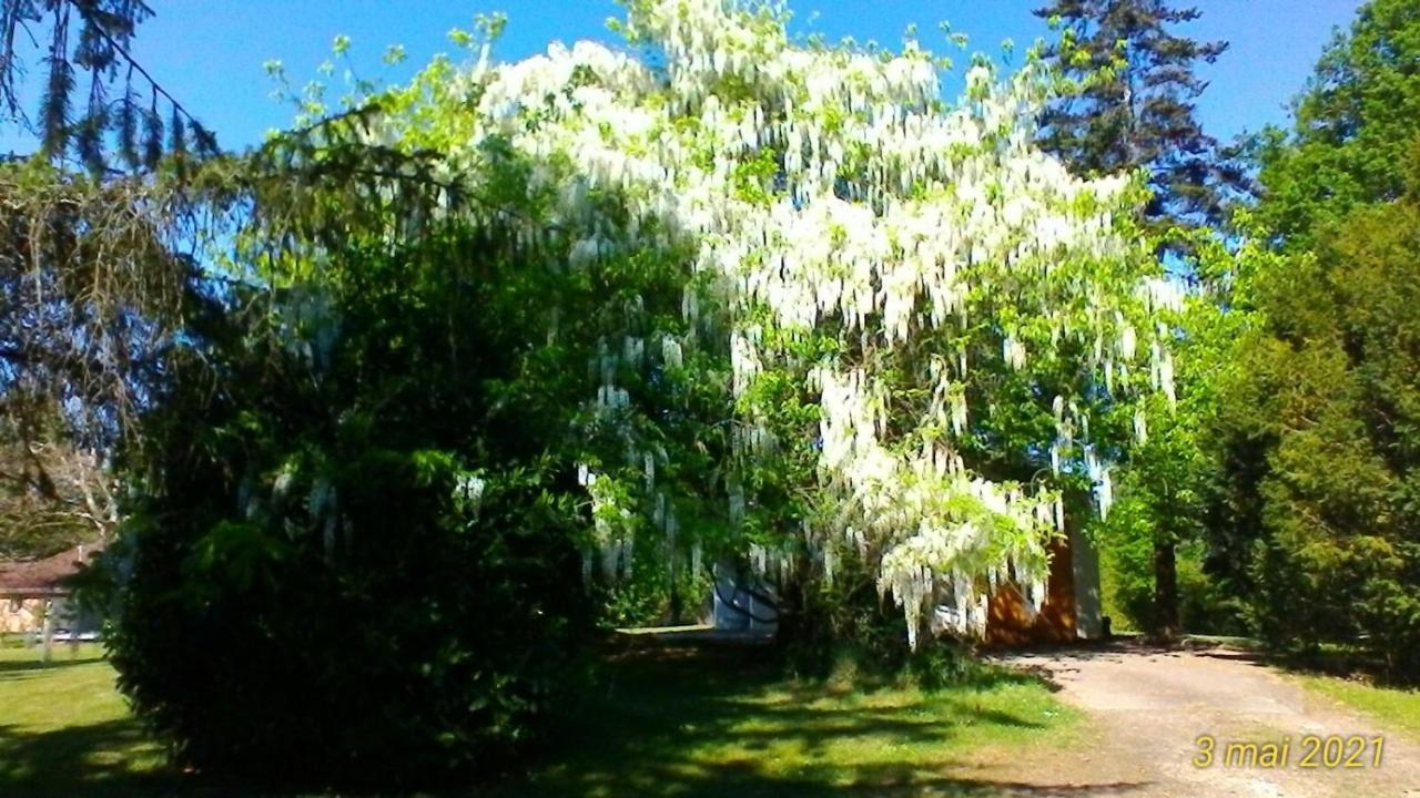 Le Clos Des Palombes Wifi Climatisation Saint-Pierre-du-Mont  Bagian luar foto