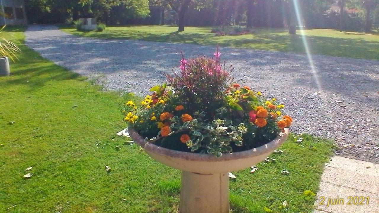 Le Clos Des Palombes Wifi Climatisation Saint-Pierre-du-Mont  Bagian luar foto