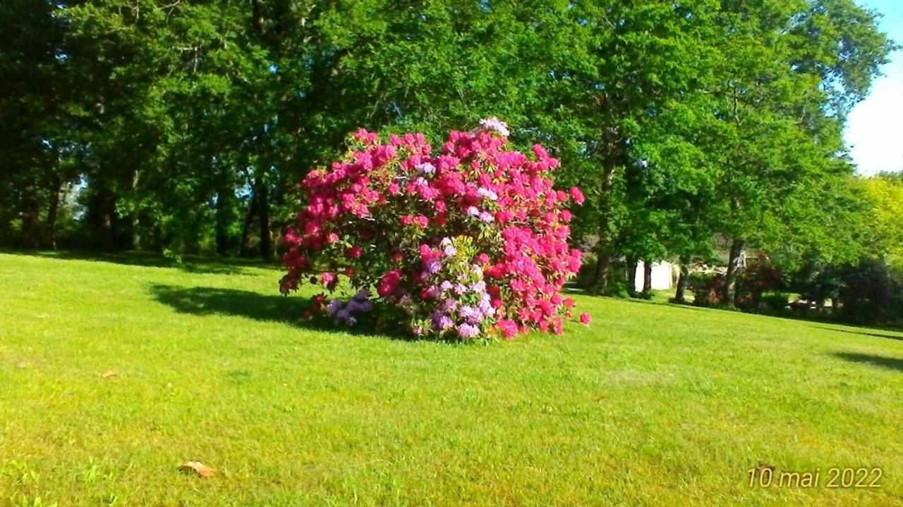 Le Clos Des Palombes Wifi Climatisation Saint-Pierre-du-Mont  Bagian luar foto