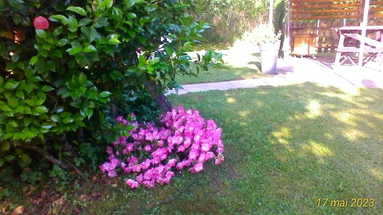 Le Clos Des Palombes Wifi Climatisation Saint-Pierre-du-Mont  Bagian luar foto