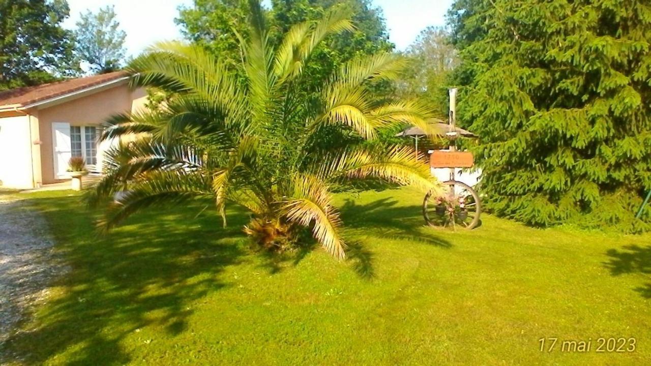 Le Clos Des Palombes Wifi Climatisation Saint-Pierre-du-Mont  Bagian luar foto