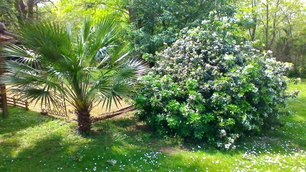 Le Clos Des Palombes Wifi Climatisation Saint-Pierre-du-Mont  Bagian luar foto