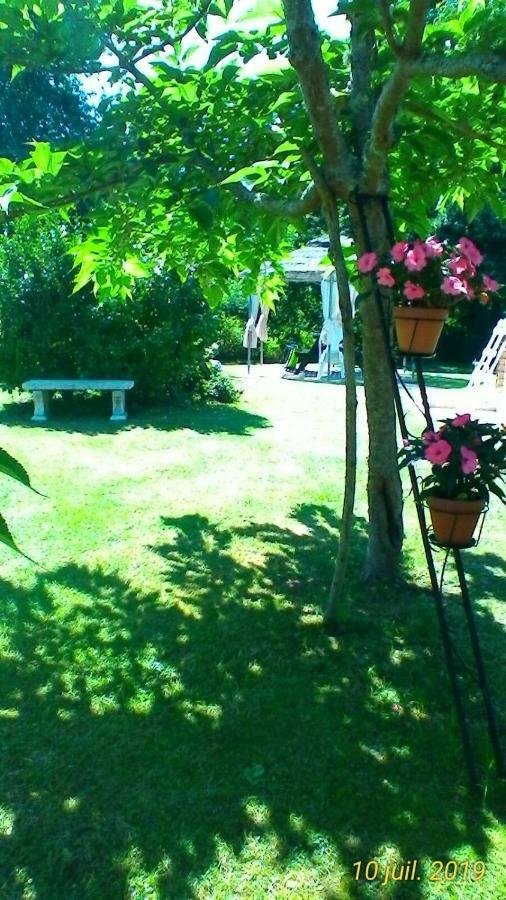 Le Clos Des Palombes Wifi Climatisation Saint-Pierre-du-Mont  Bagian luar foto